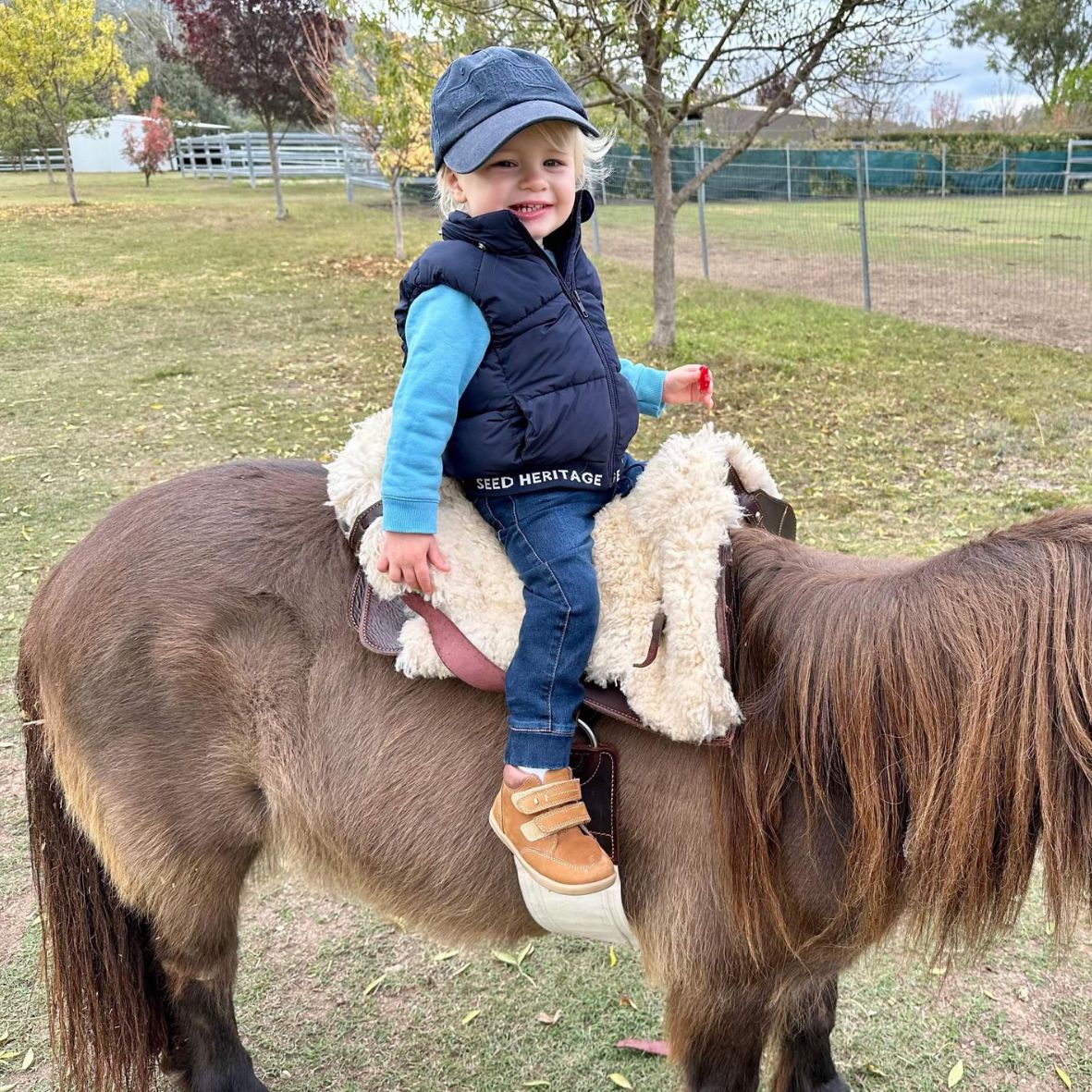 Cordillera Kids Saddle - Morea Polo Saddlery