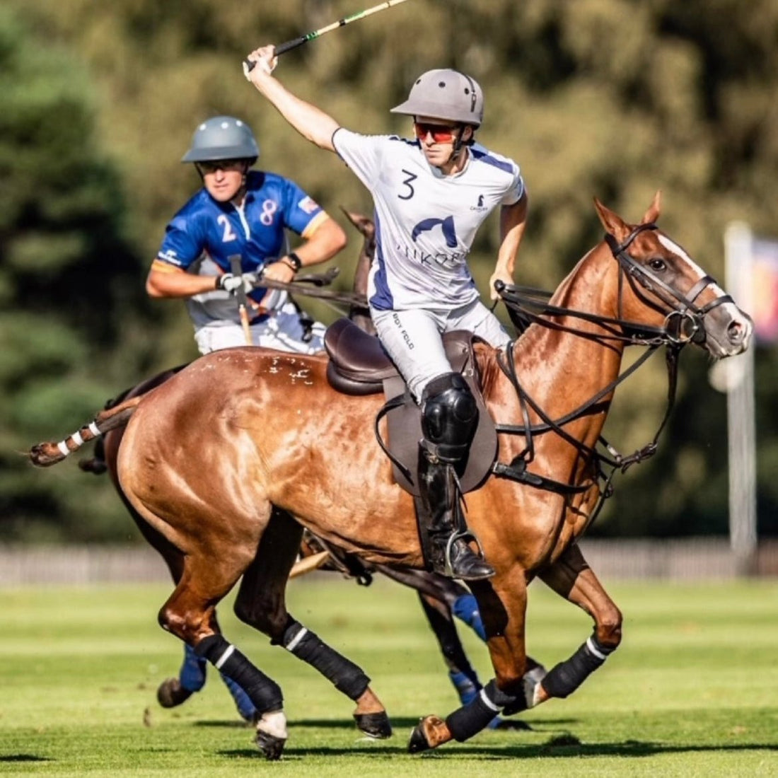 Discover Why Riders Love Morea Saddlery - Morea Polo Saddlery