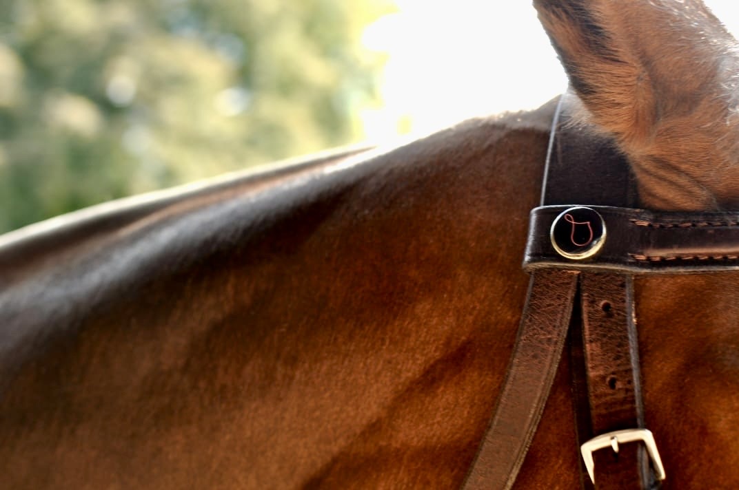 Polo Saddle Accessories