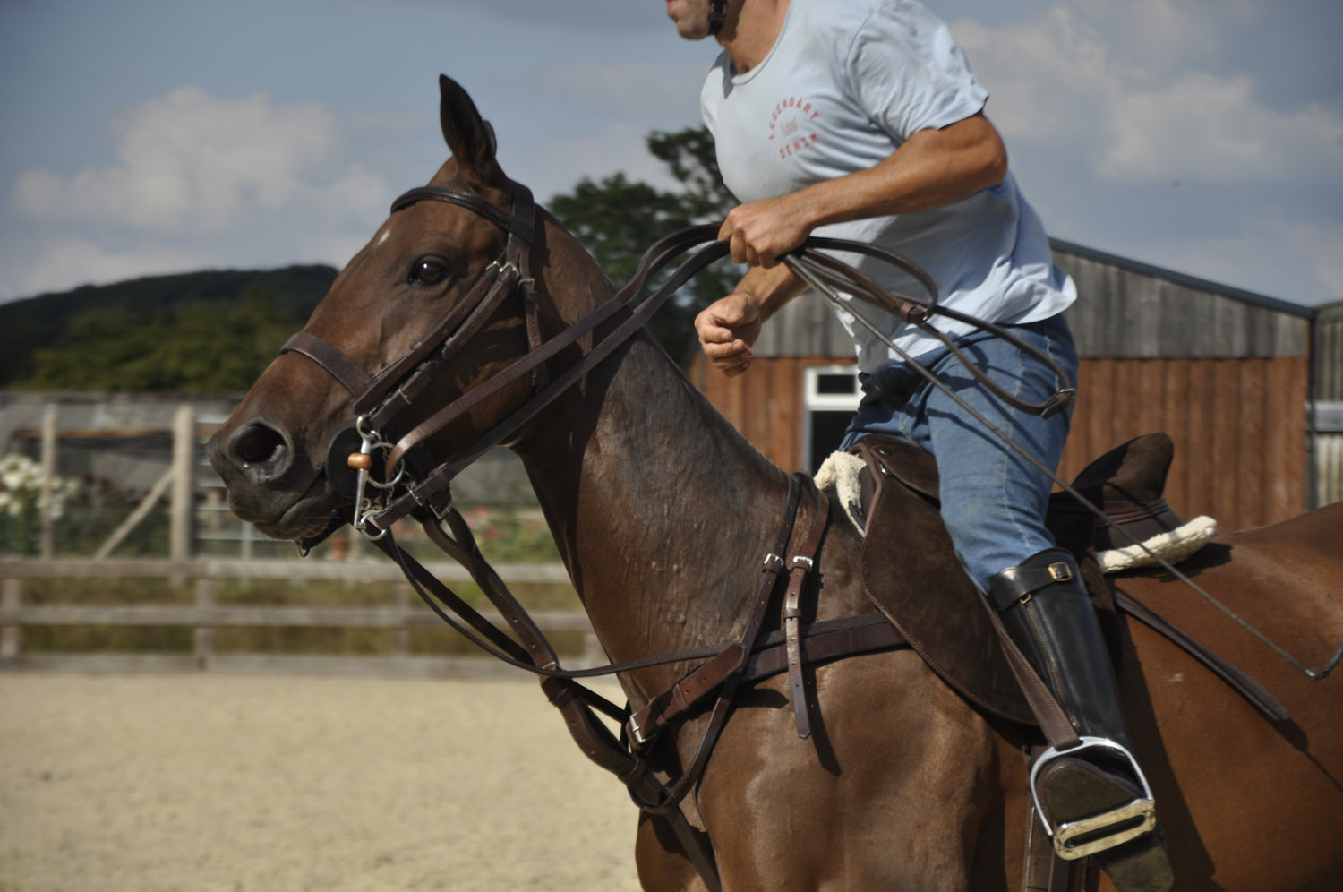 Polo Bridles