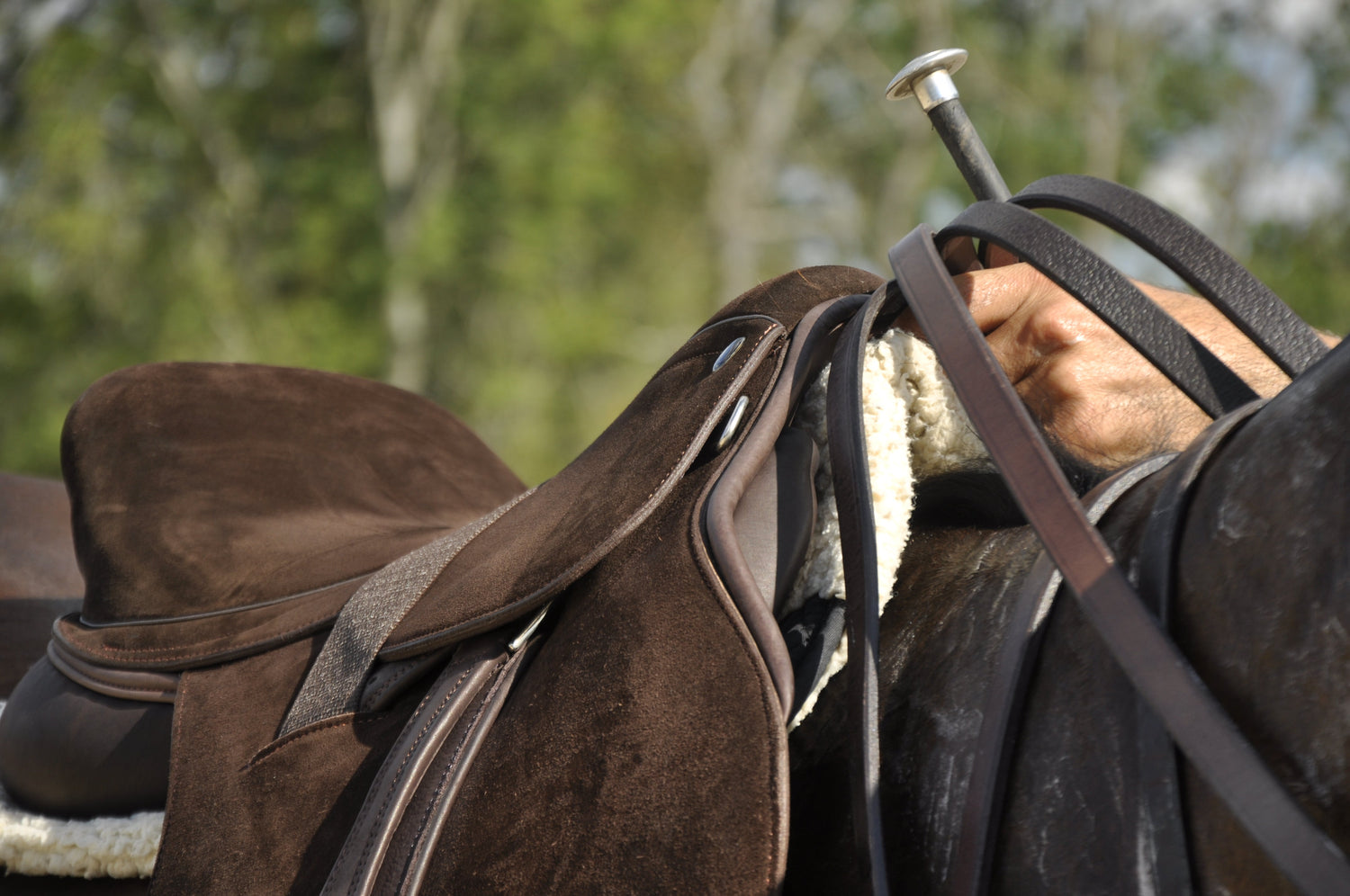 Polo Saddles - Morea Polo Saddlery