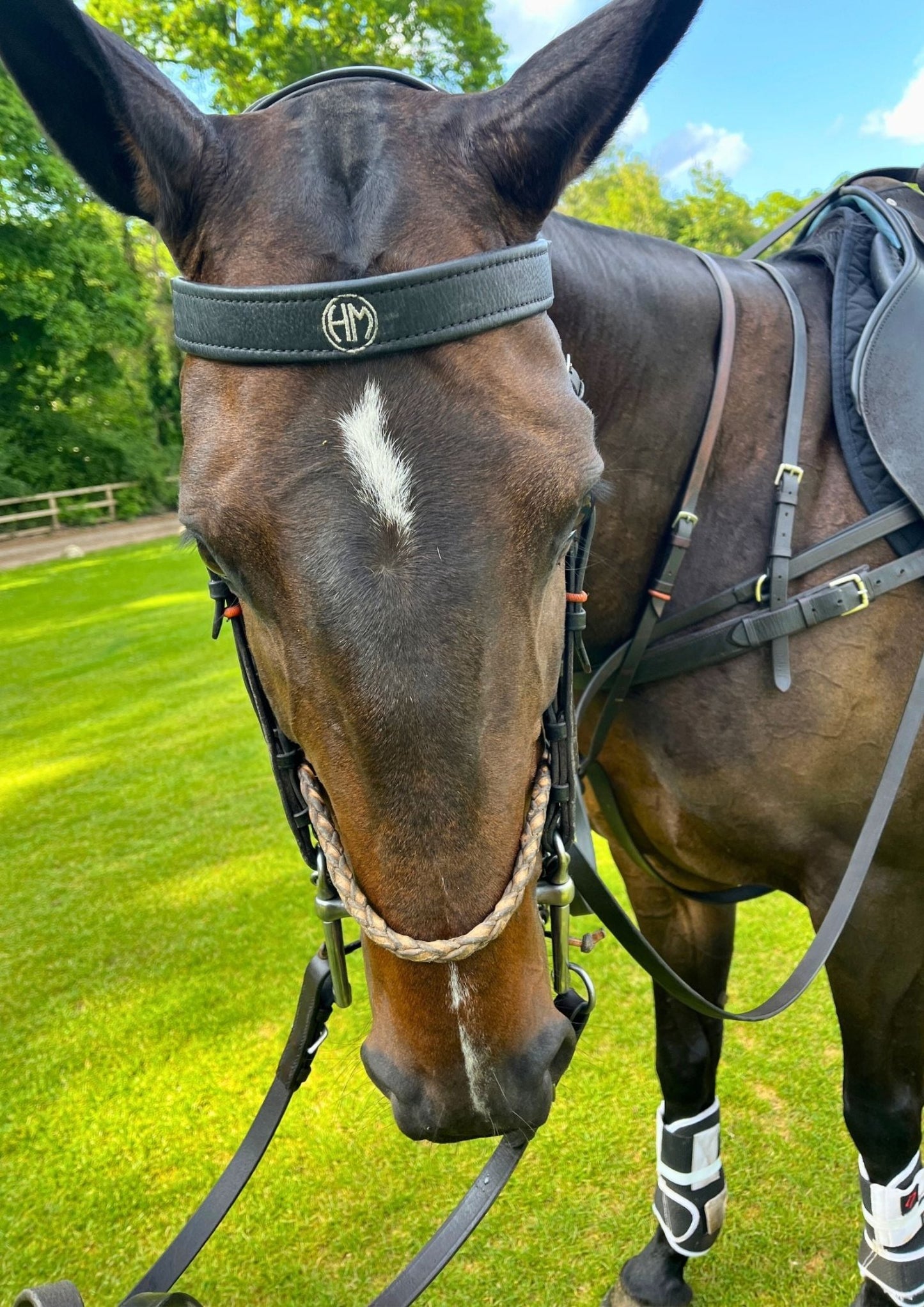 Custom Browbands - Morea Polo Saddlery