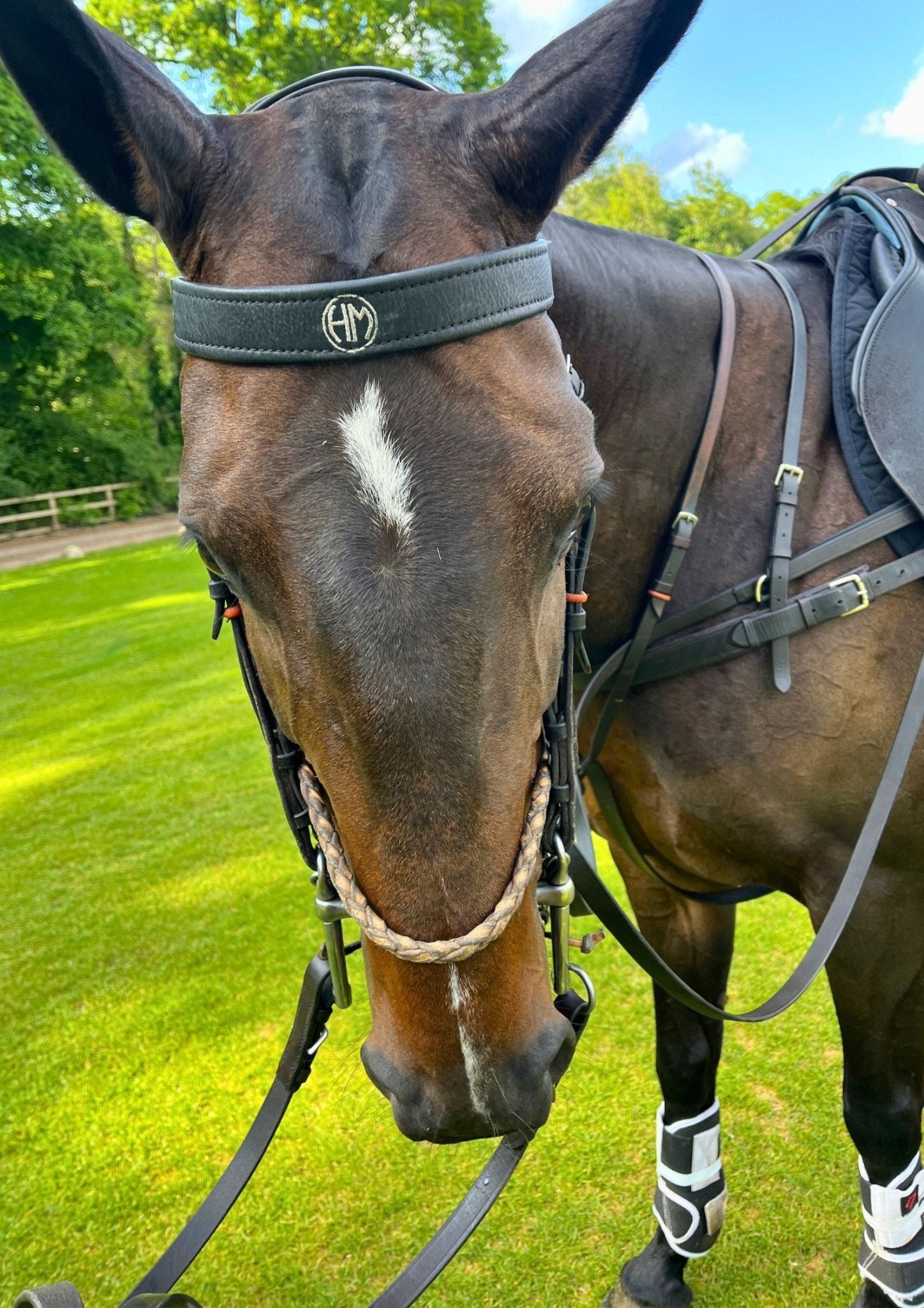 Custom Browbands - Morea Polo Saddlery