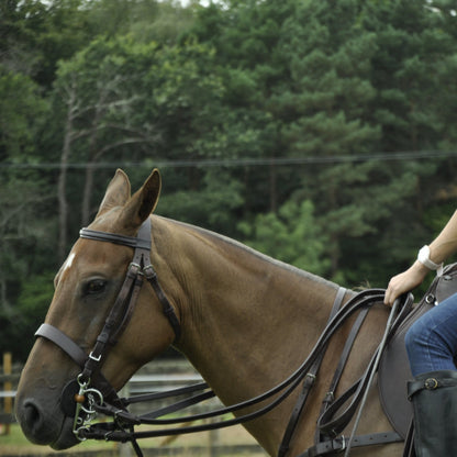Full Polo Bridle - Morea Polo Saddlery