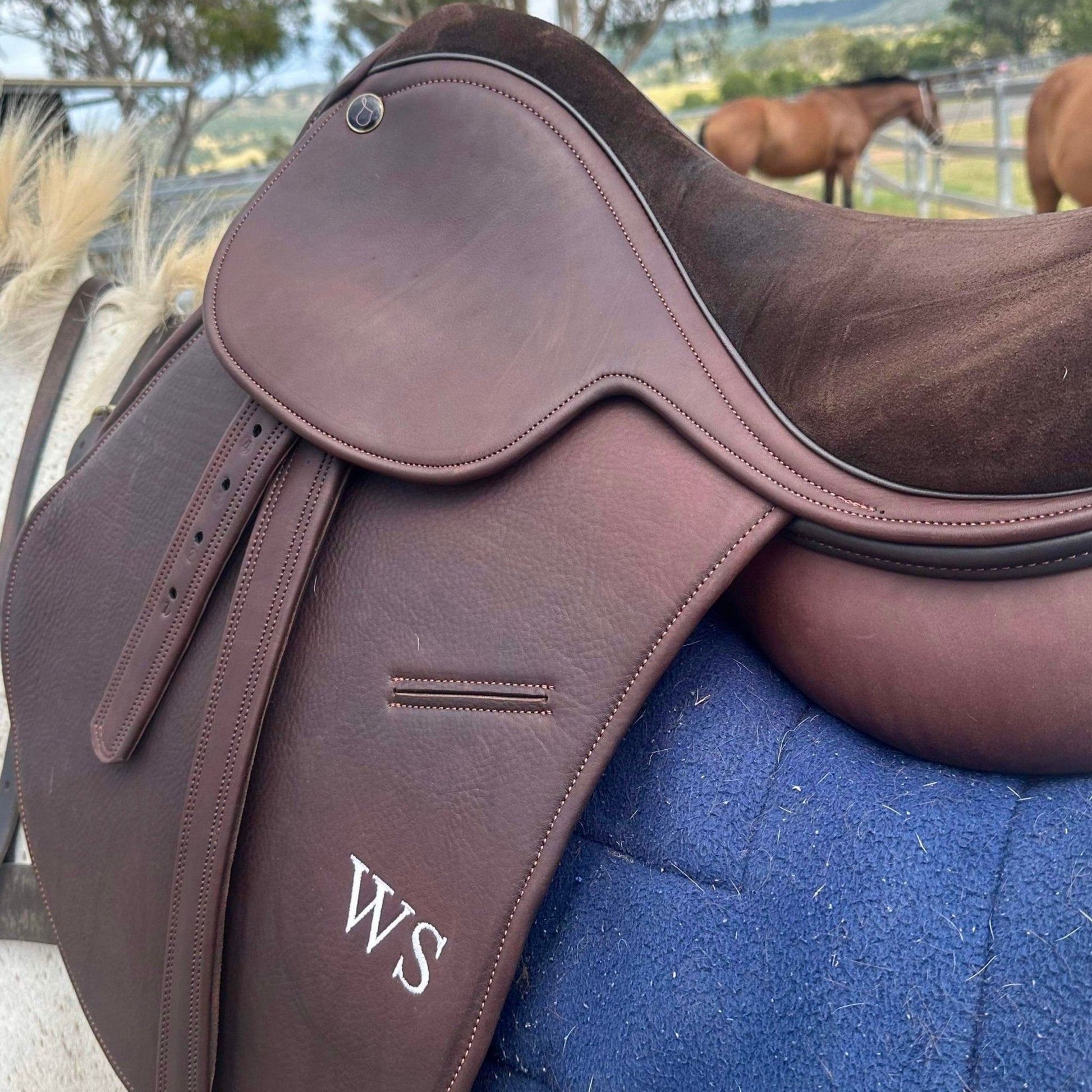 Oveja Saddle - Morea Polo Saddlery