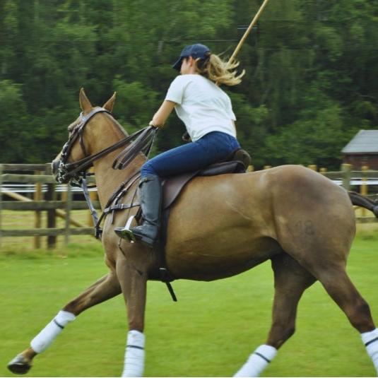 Oveja Saddle - Morea Polo Saddlery