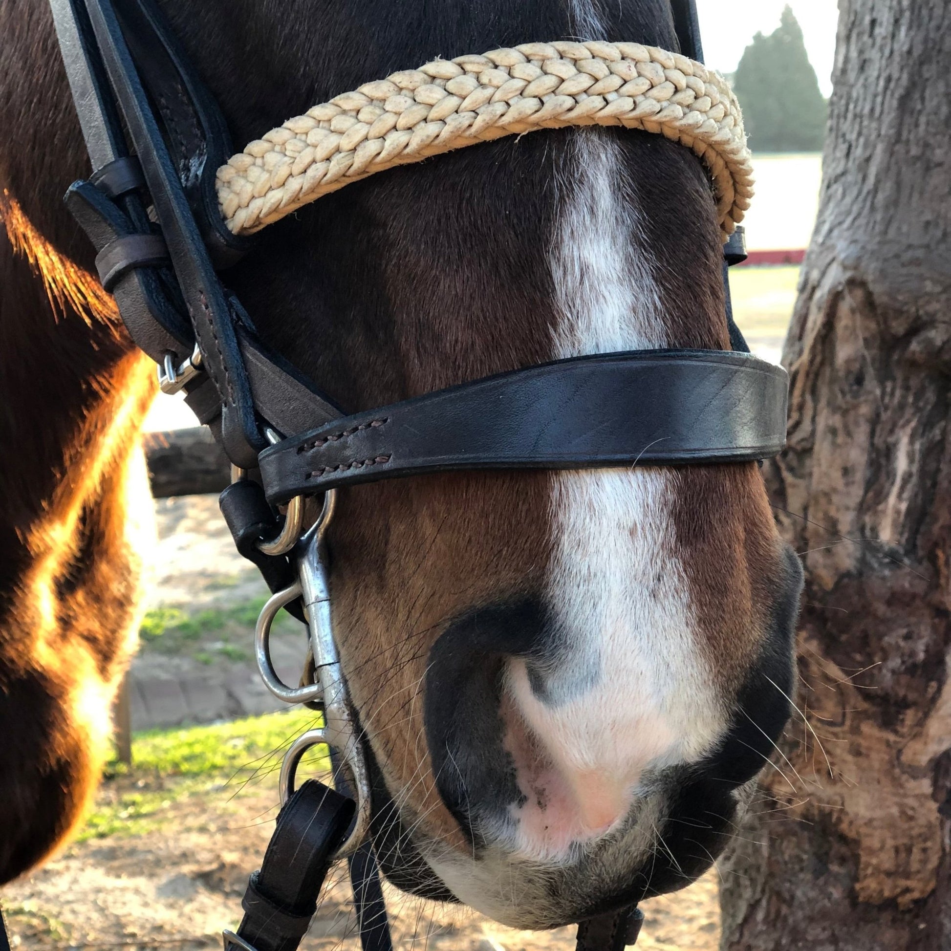Rawhide Polo Bridle - Morea Polo Saddlery